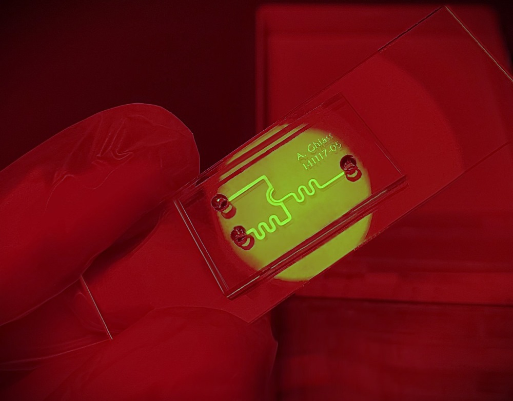 BEHZSAZ-Tissue culture microfluidic chip A tissue culture microfluidic devices made by BEHZSAZ