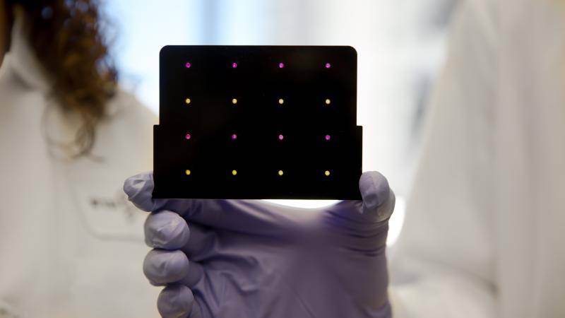 Paper-Based Diagnostics – Low-Cost, Fast, And Simple Biomolecular Devices For Global Healthcare And At-Home Diagnosis