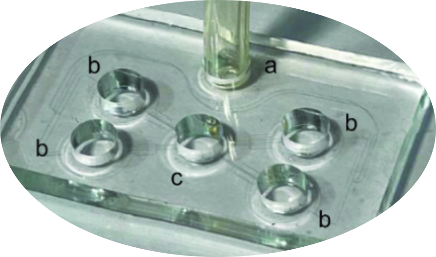A novel microfluidic device for human sperm separation based on rheotaxis, BEHZSAZ