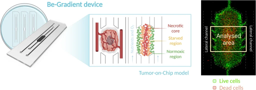 Tumor-on-Chip, Microfluidics